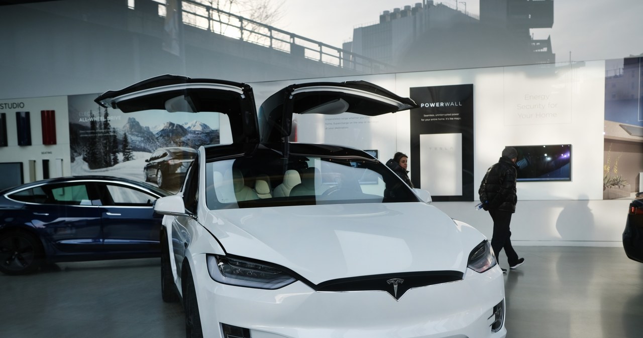 Tesla zdecydowanie zdominowała polski internet /Getty Images