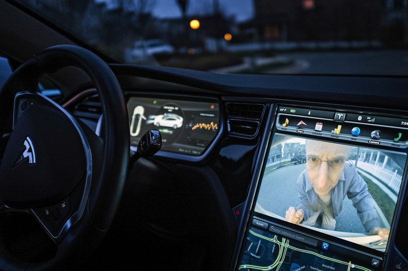 Tesla znów przed niemieckim sądem /Getty Images