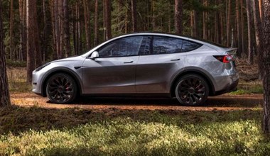 Tesla zrzuciła z tronu Volkswagena. Model Y królem rankingu sprzedaży