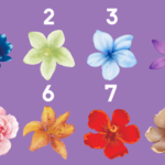 Test: Który kwiatek widzisz jako pierwszy? Dowiesz się wiele na temat swoich zalet i wad