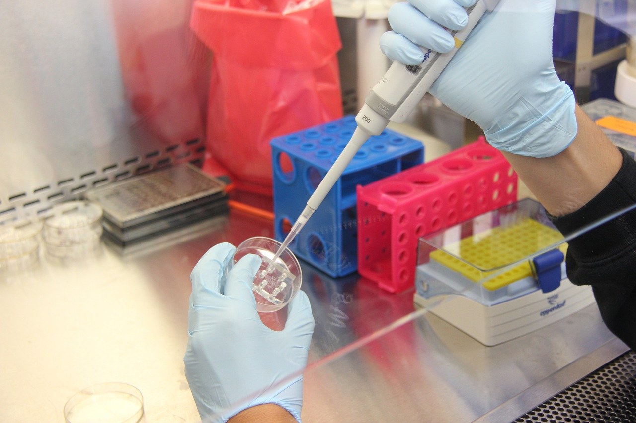 Test na koronawirusa: genetyczny czy szybki? Ekspert o sposobach wykrywania SARS-CoV-2
