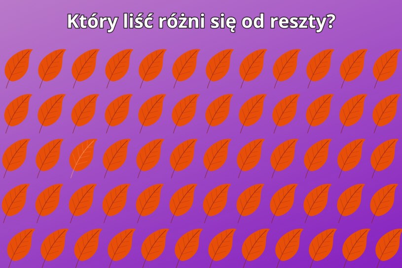 Test na spostrzegawczość: Który liść różni się od pozostałych? 