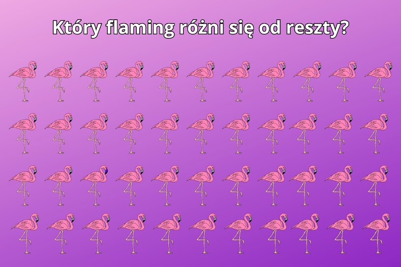 Test na spostrzegawczość. Mało kto jest w stanie zauważyć tę drobną różnicę