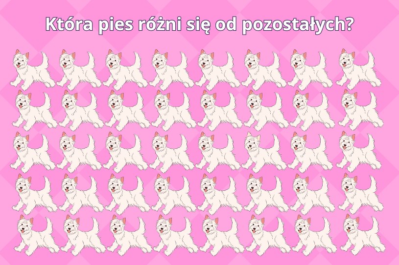 Test na spostrzegawczość: Tylko osoby o błyskotliwym spojrzeniu znają rozwiązanie