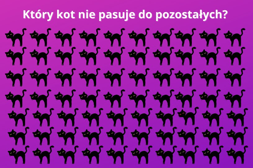 Test na spostrzegawczość: Tylko sokole oko dostrzeże tę drobną różnicę