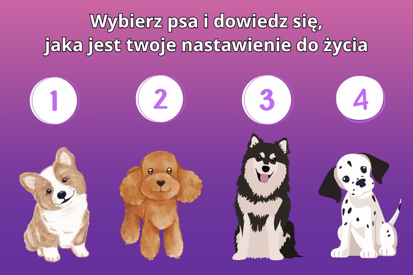 Test osobowości: Wybierz jednego psa z obrazka i poznaj prawdę o sobie