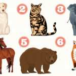 Test osobowości: Z którym zwierzęciem się utożsamiasz? Odpowiedź zdradzi cechy twojego charakteru