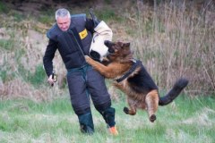 Test psów policyjnych w Łodzi