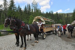 Testy hybrydowych wozów w Tatrach wstrzymane. Konie ciągną dalej