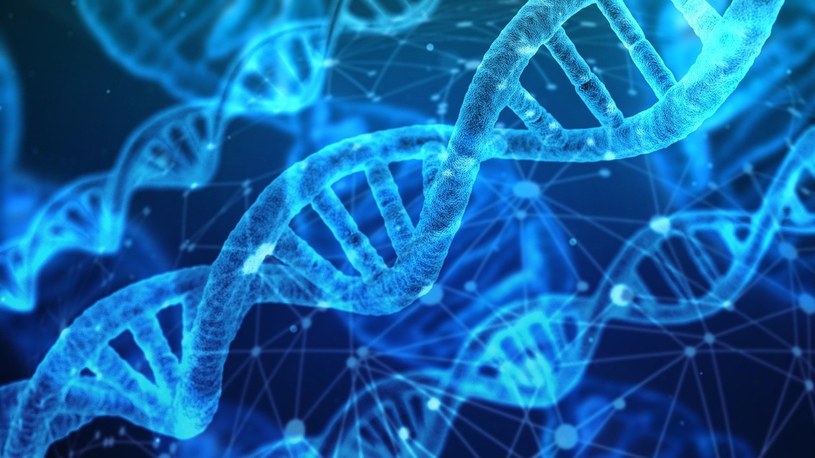 Testy kliniczne technologii edycji genów CRISPR/Cas9 zakończone dużym sukcesem! /Geekweek