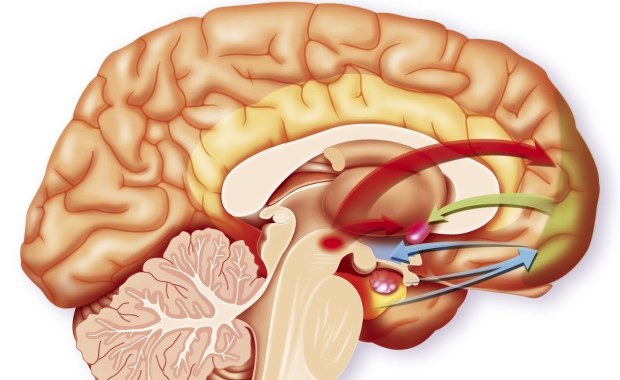 Tętniak - tykająca bomba w organizmie