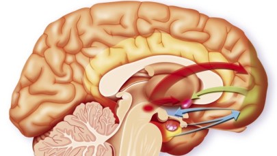 Tętniak - tykająca bomba w organizmie
