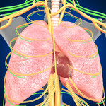 Tętnicze nadciśnienie płucne: Przyczyny, objawy i leczenie
