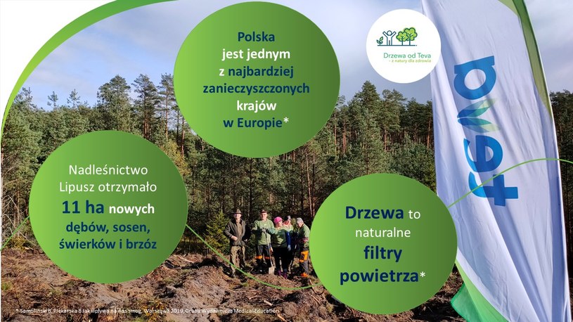 Teva pomaga dbać o drzewa /materiały prasowe