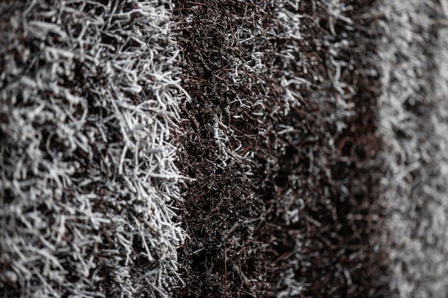 Tężnia na Bagrach /	Łukasz Gągulski /PAP