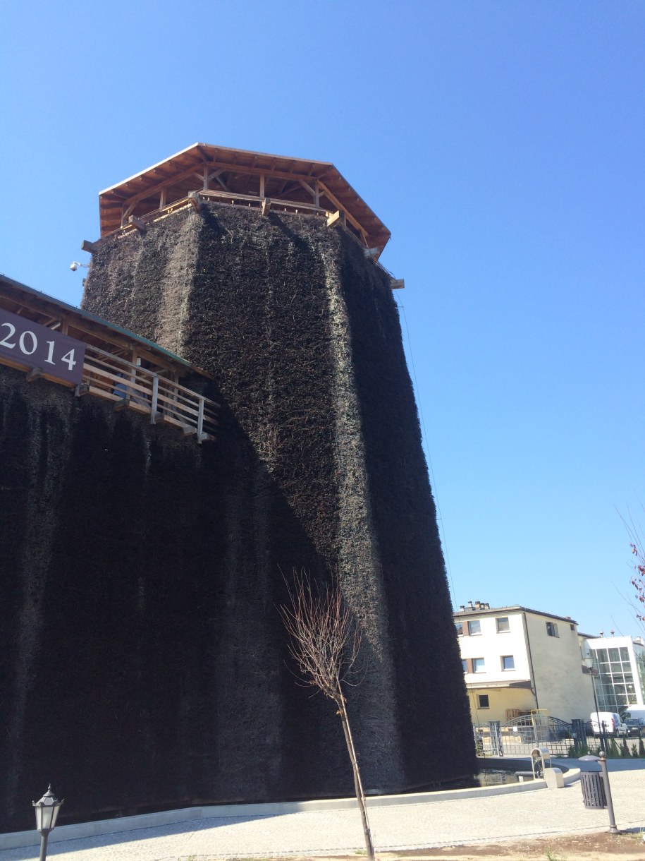 Tężnia solankowa /Marcin Buczek /RMF FM