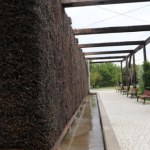 Tężnie miejskie pod lupą naukowców. Inhalacja, która może zaszkodzić zdrowiu