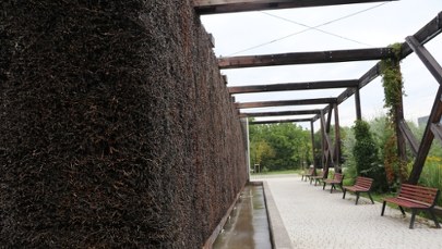 Tężnie miejskie pod lupą naukowców. Inhalacja, która może zaszkodzić zdrowiu