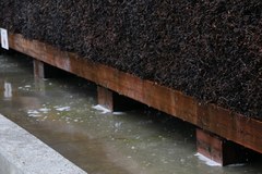 Tężnie solankowe pod lupą naukowców 