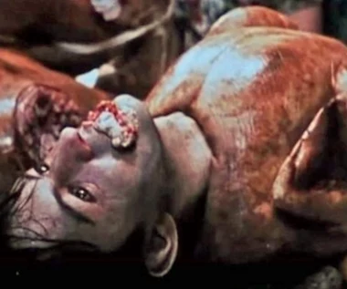 "Thanksgiving": Zwiastun był szokiem. Eli Roth zamieni go w film