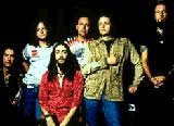 The Black Crowes /
