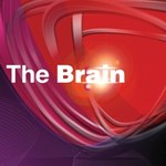 "The Brain - genialny umysł": Nowy program w Polsacie
