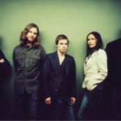 The Cardigans