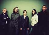 The Cardigans /
