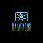 "The Dead Don’t Hurt" [trailer]