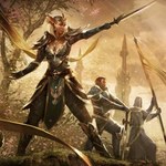 The Elder Scrolls Online: 5 milionów graczy w becie, jeden chciał oddać dziecko