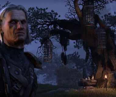 The Elder Scrolls Online: Chirurgia plastyczna