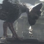 The Last Guardian: Prace idą powoli. Bo Sony zajmuje się... 