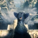 The Last Guardian: Wymagania zalecane - PS4 PRO