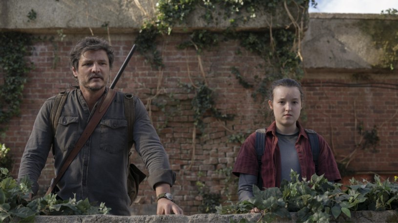 The Last of Us był najczęściej piraconym serialem w 2023 r. /HBO Max /materiały prasowe