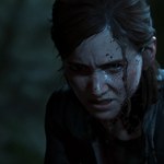The Last of Us: Wieloosobowy tryb rozgrywki będzie darmowy? Oto dowód!