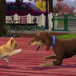 The Sims 3: Zwierzaki już dziś w sprzedaży!
