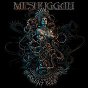 Meshuggah: -The Violent Sleep Of Reason