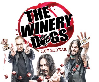The Winery Dogs: Supergrupa w Polsce