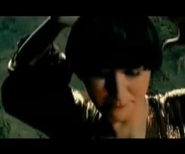 The Yeah Yeah Yeahs - Gold Lion