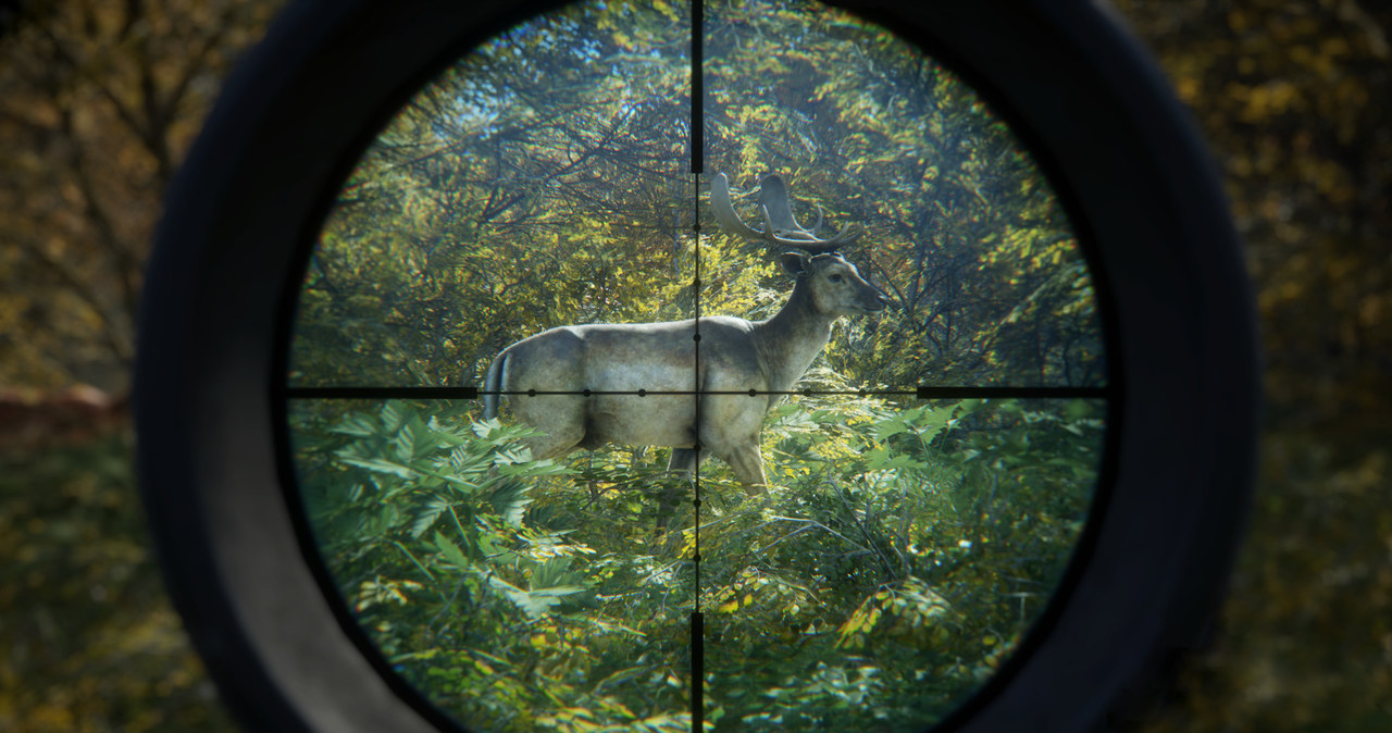 theHunter: Call of the Wild /materiały prasowe