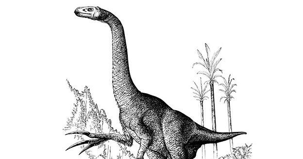 Therizinosaurus widywany na wyspach Papui Nowej Gwinei /MWMedia