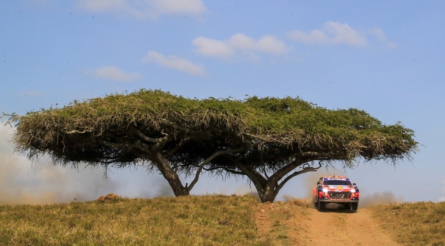 Thierry Neuville /Reporter Images /PAP/EPA