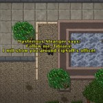 Tibia ma już prawie 30 lat. Jej twórcy zaliczyli najlepszy rok finansowy!