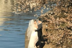 Tidal Basin - to wiosną najpiękniejsze miejsce w Waszyngtonie