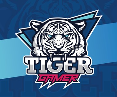 Tiger Gamer - podsumowanie