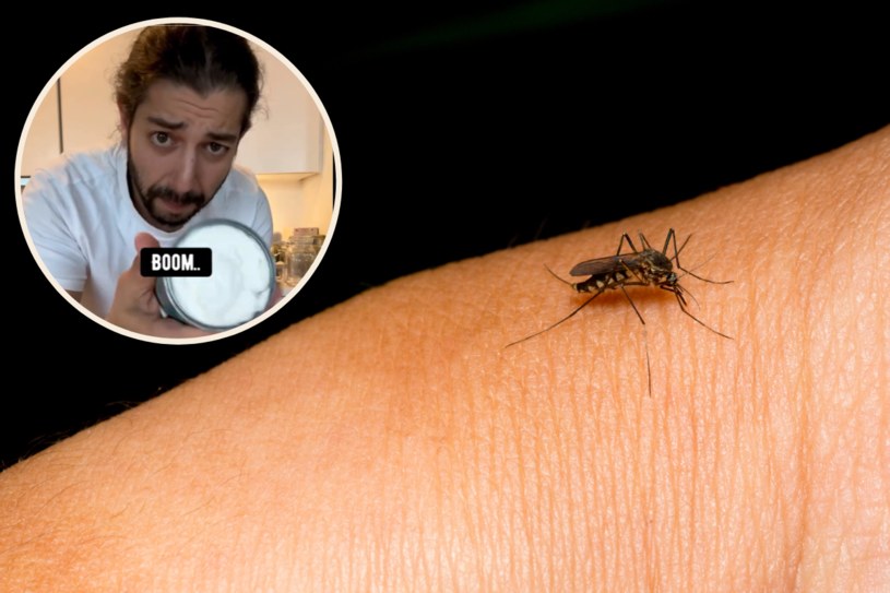 Tik-toker pokazał jak radzi sobie z komarami. W kilka chwil przygotował "bombę" na owady /creative_explained /123RF/PICSEL