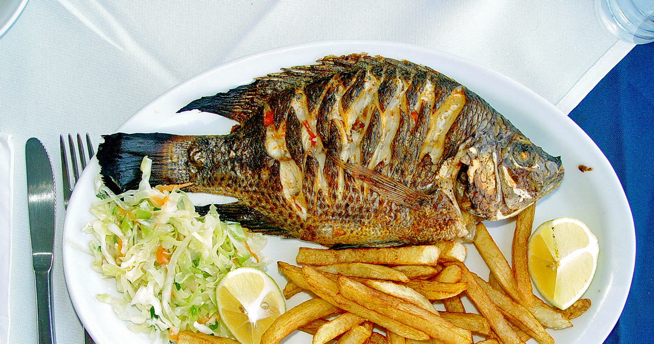 tilapia jedzenie /© Photogenica