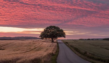 Timelaps, którego stworzenie zajęło trzy lata