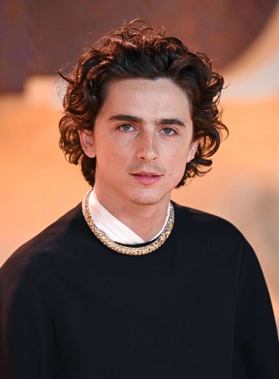 Timothee Chalamet (ur. w 1995 roku) /Doug Peters /PAP/PA