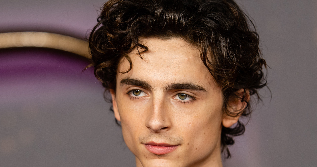 Timothée Chalamet /Samir Hussein/WireImage /Getty Images